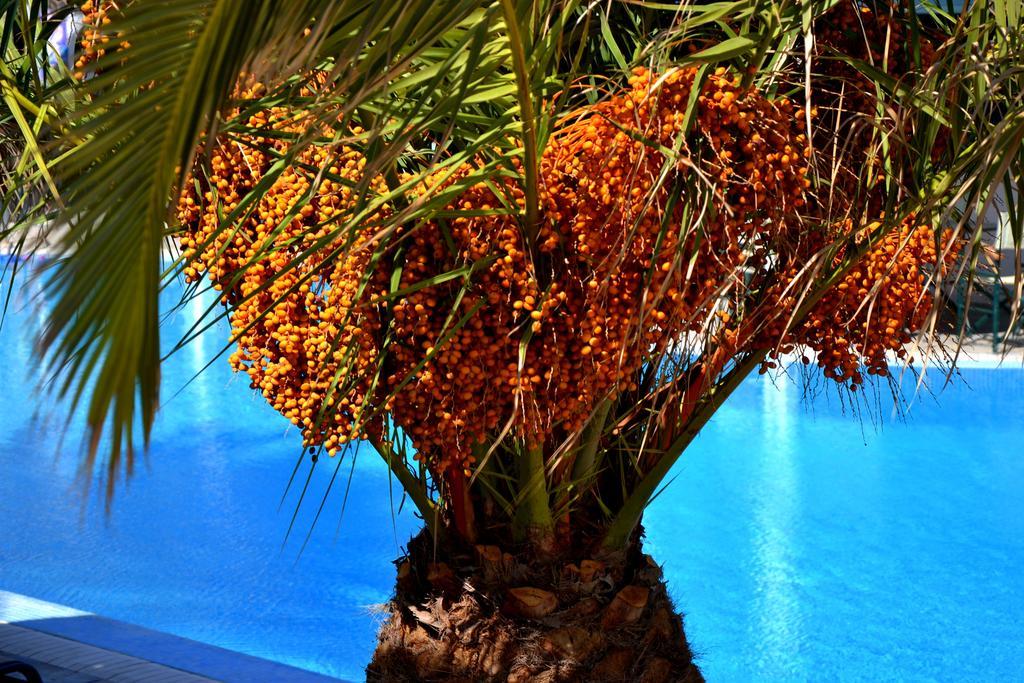 Zephyros Hotel Kamari  Bagian luar foto